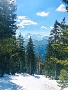 Schneewanderung Predigtstuhl