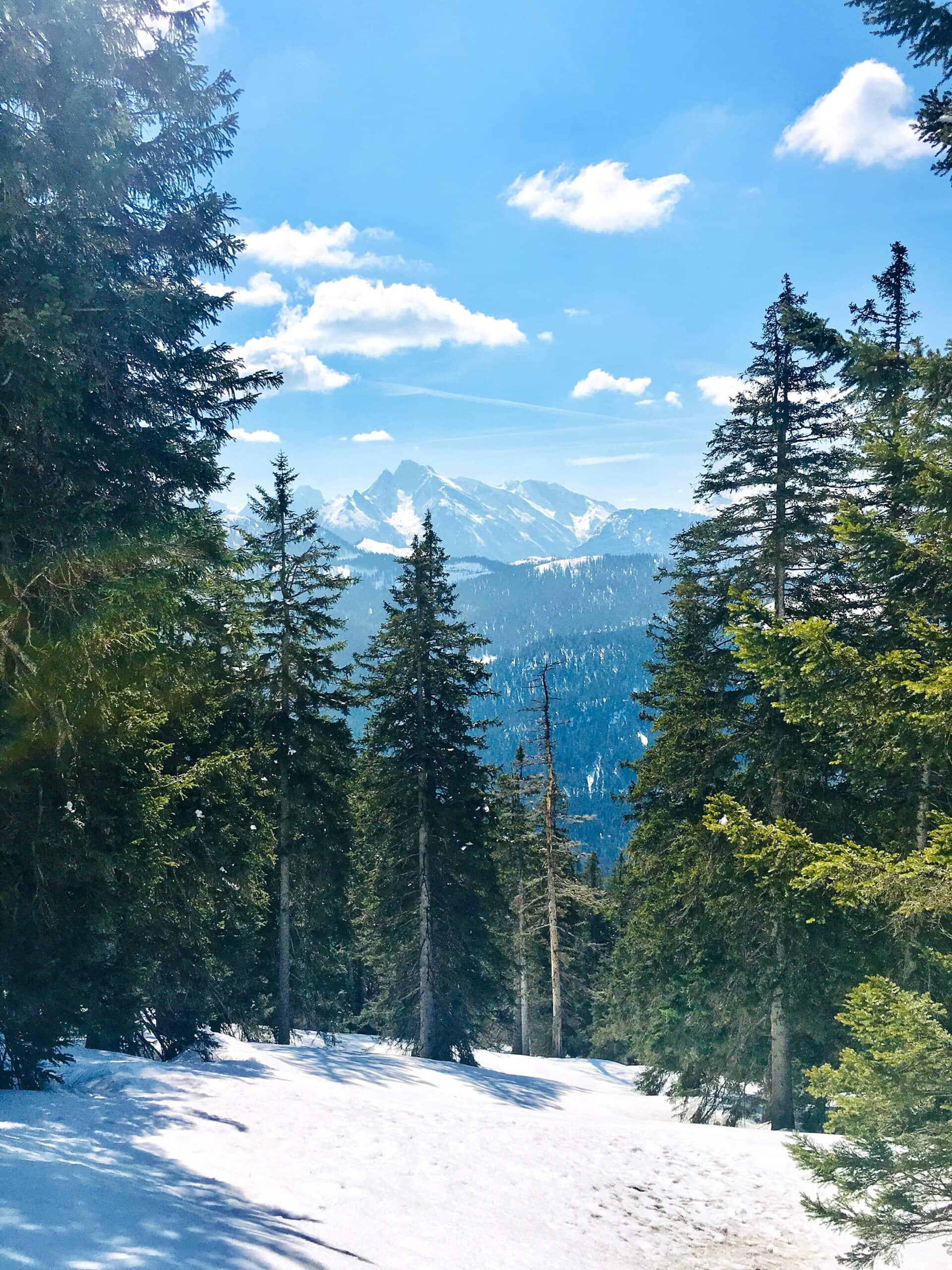 Schneewanderung Predigtstuhl